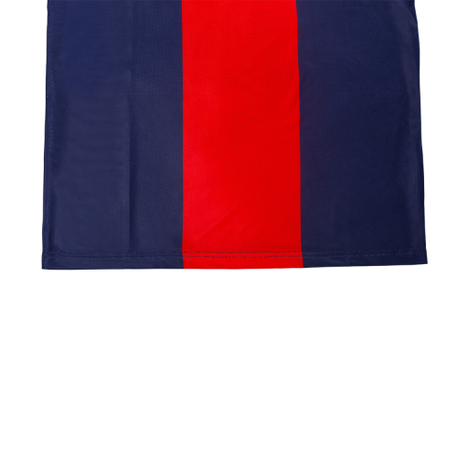 PSG 2013-2014 Jersey