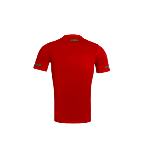 Portugal 2010 Jersey
