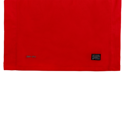 Portugal 2010 Jersey